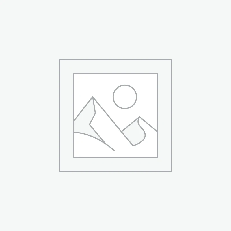 2024 Renault Fourgon L2 confort traction E6DF 4 Door Cargo Van