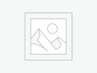 2024 Honda Odyssey EX 5 Door Mini Van